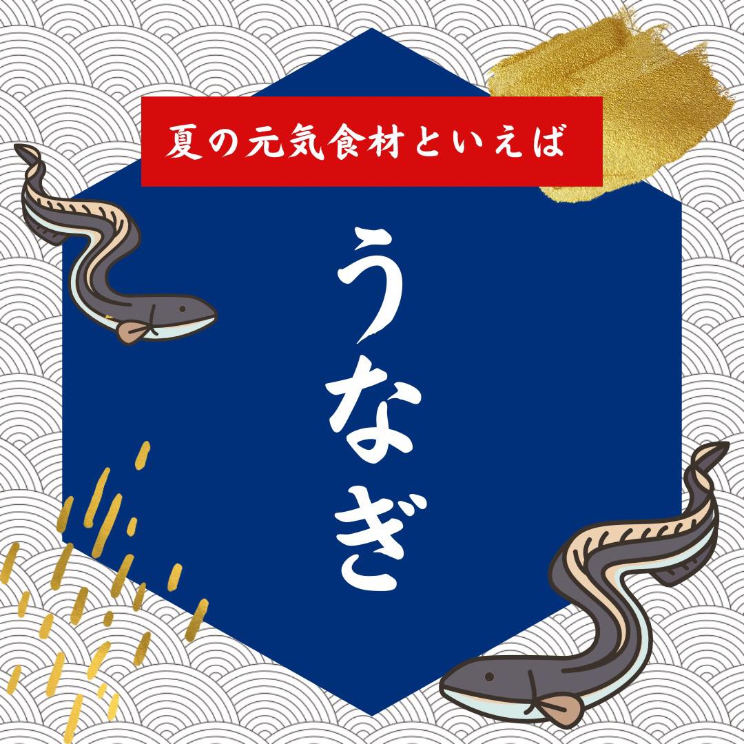 健康コラムトップ画像　夏の元気食材といえばうなぎ