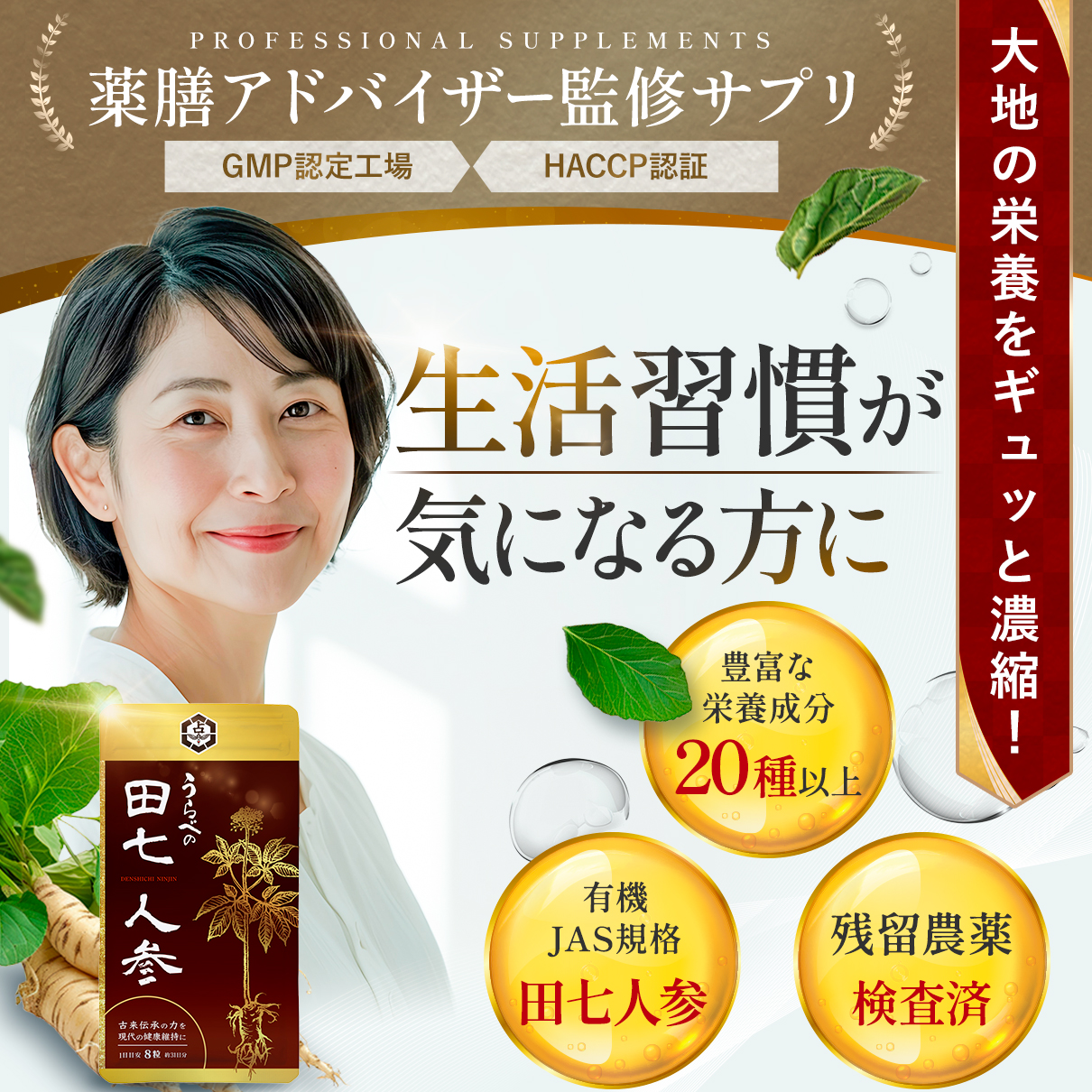 アクシスアン アンズ田七人参 アクシスアン 田七人参 アンズ 田七人参茶