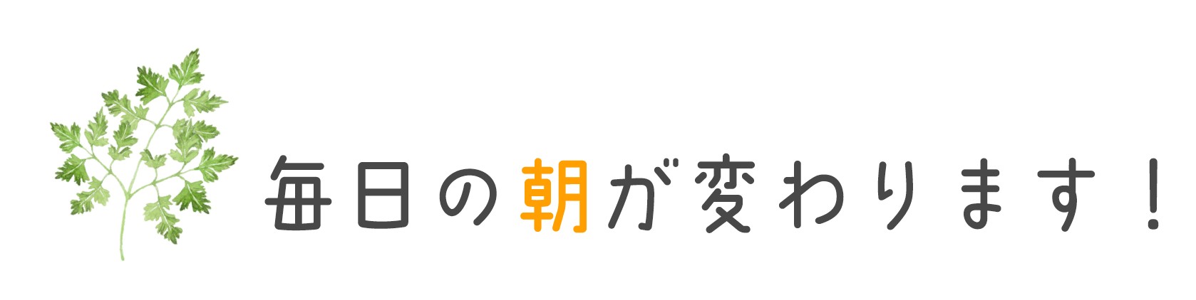 毎日の朝が変わります