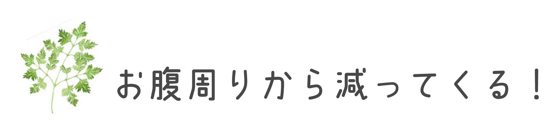 お腹周りから減ってくる！