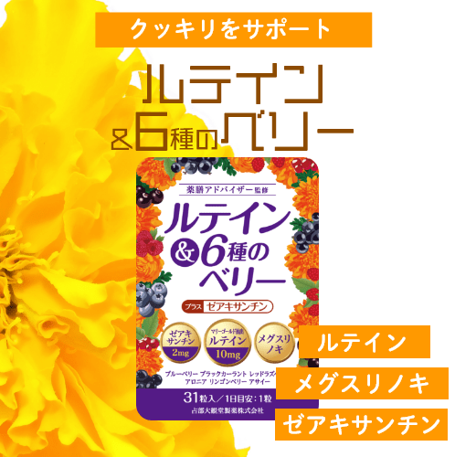 ルテイン ＆6種のベリー【お得な2袋定期コース　１袋あたり4,620円！】