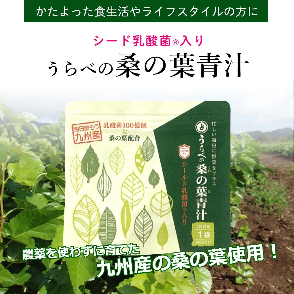 うらべの桑の葉青汁 【お得な2袋定期コース　１袋あたり3,100円！】