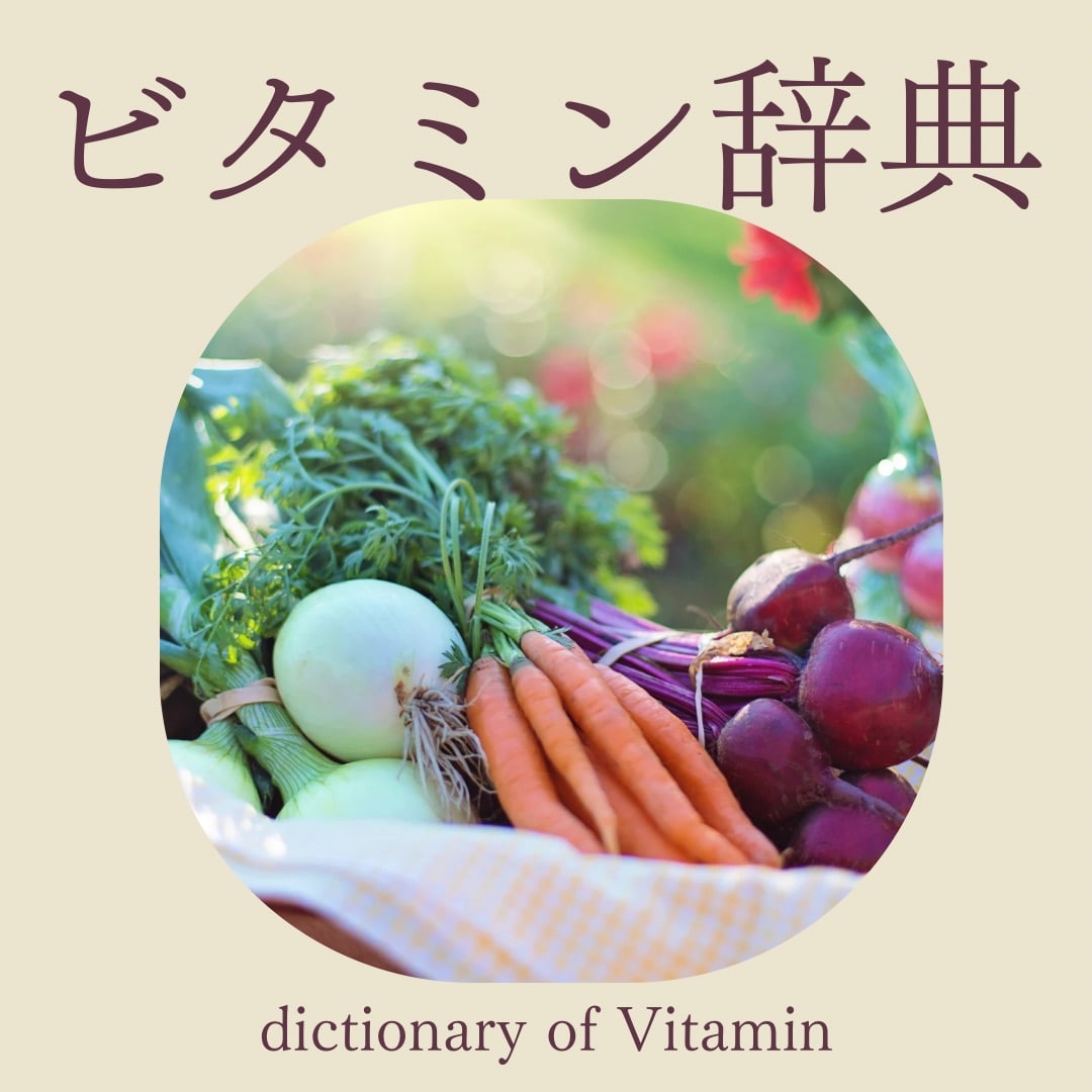 ビタミン辞典 Vitamin Dictionary