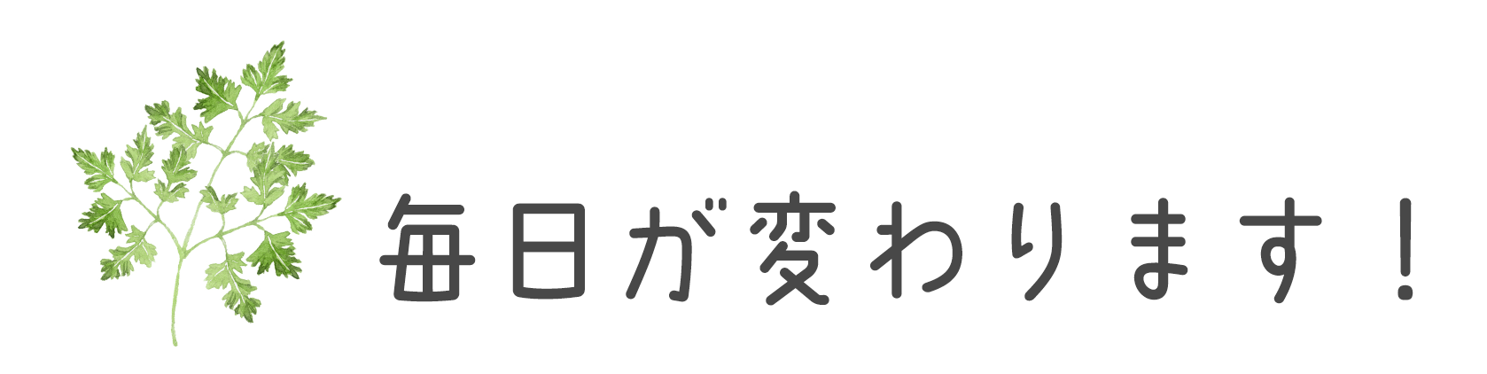 毎日が変わります