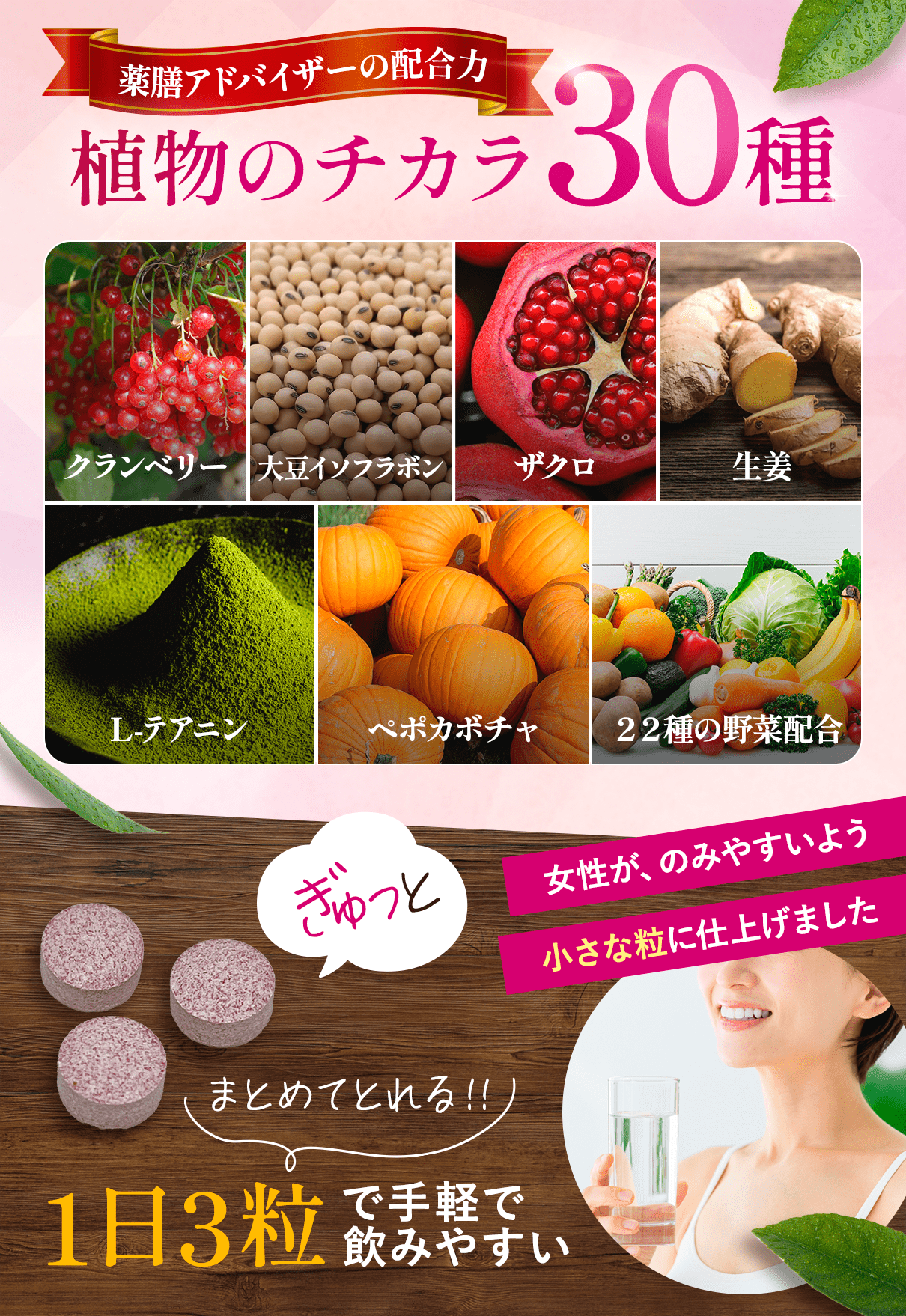 クランベリーサプリ クランベリー30の恵み 旧ピタリト long 4