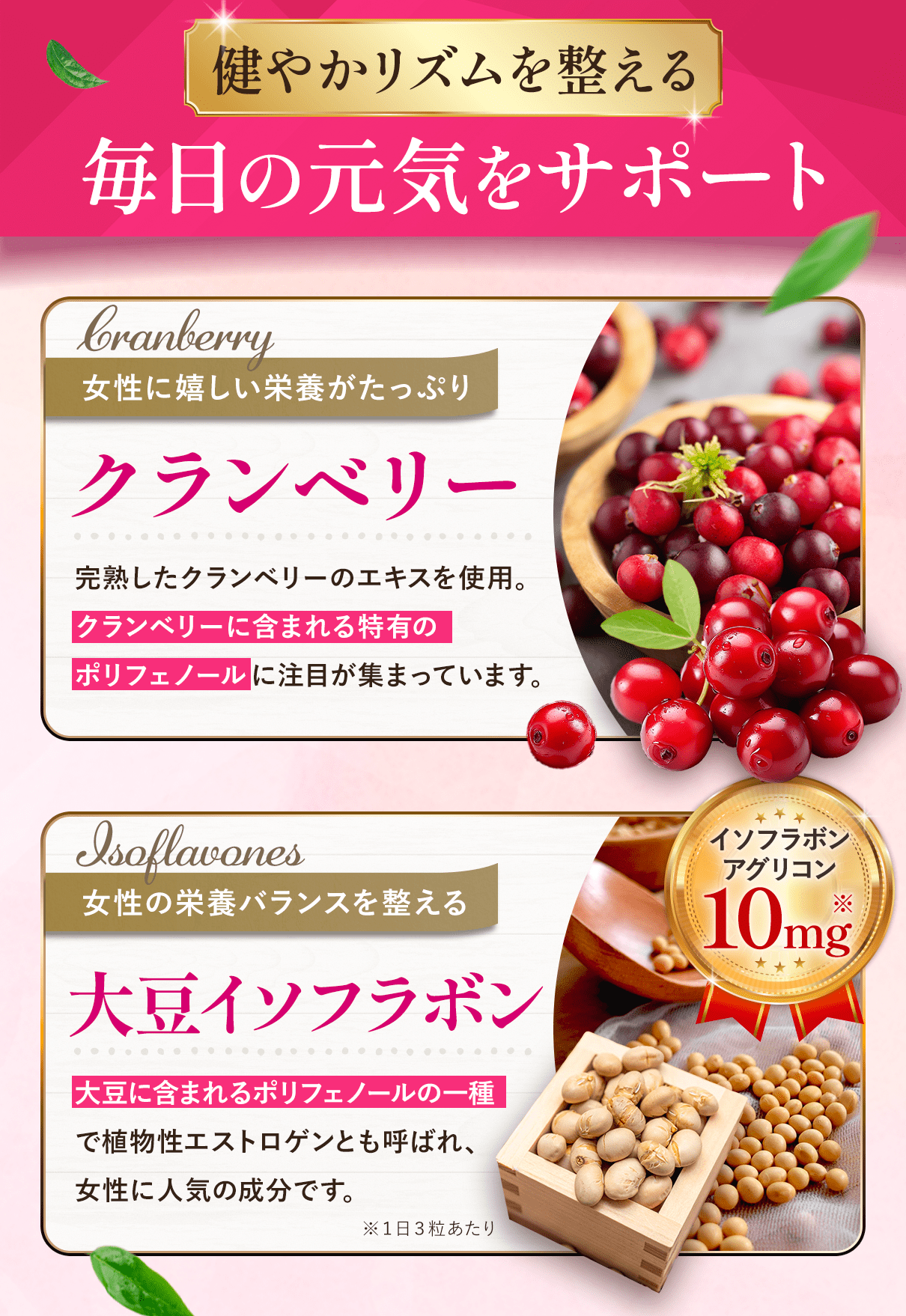 クランベリーサプリ　クランベリー30の恵み　旧ピタリト　long　3