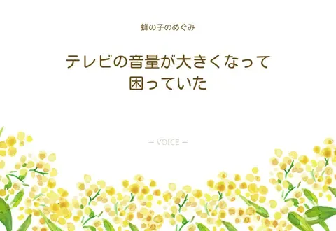 70代　女性　テレビの音量が大きくなって困っていた